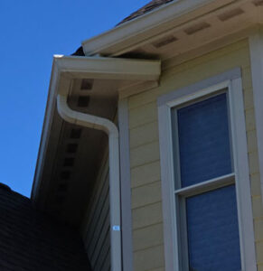 bluebird chosen nest location